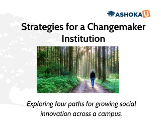 Strategies for a Changemaker Institution