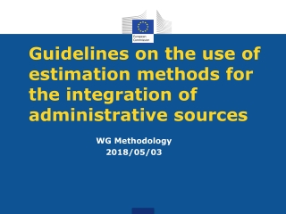 Guidelines on the use of estimation methods for the integration of administrative sources