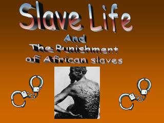 Slave Life
