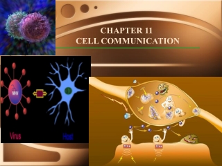 CHAPTER 11 CELL COMMUNICATION