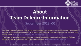About Team Defence Information