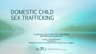 DOMESTIC CHILD SEX TRAFFICKING