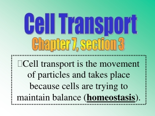 Cell Transport