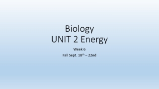 Biology UNIT 2 Energy