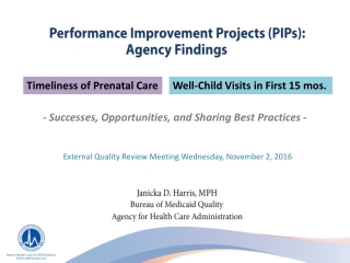 Performance Improvement Projects (PIPs): Agency Findings