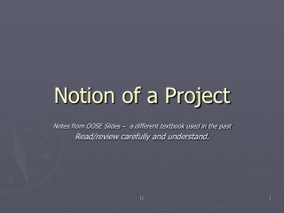 Notion of a Project