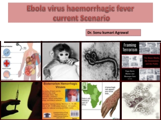 Ebola virus haemorrhagic fever current Scenario