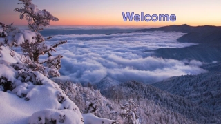 Welcome