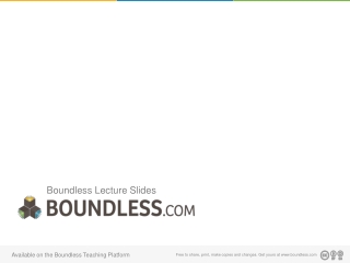 Boundless Lecture Slides