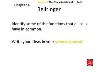 Bellringer