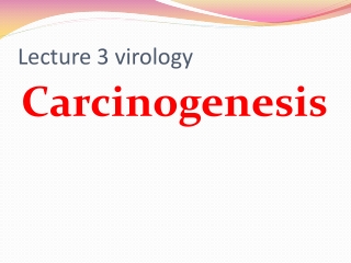 Lecture 3 virology