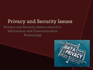 Privacy and Security Issues
