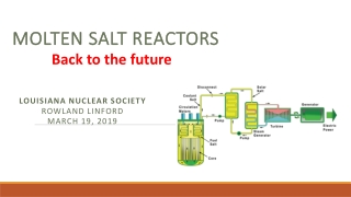 Molten Salt Reactors