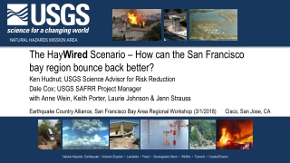 The Hay Wired Scenario – How can the San Francisco bay region bounce back better?