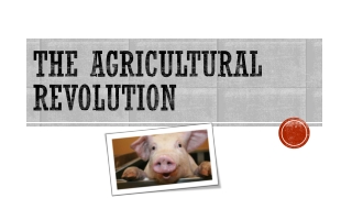 The Agricultural Revolution