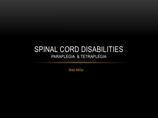 Spinal Cord Disabilities Paraplegia &amp; Tetraplegia