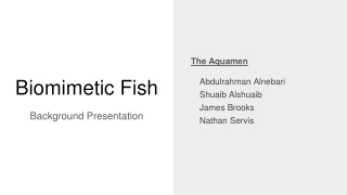 Biomimetic Fish