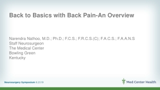 Back to Basics with Back Pain-An Overview