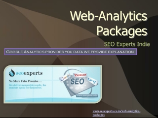 SEOExpert’s smart Web Analytics tactics