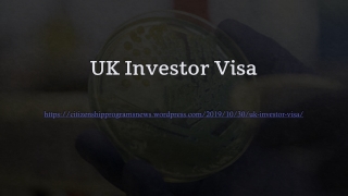 UK Investor Visa