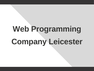 Web Programming Company Leicester