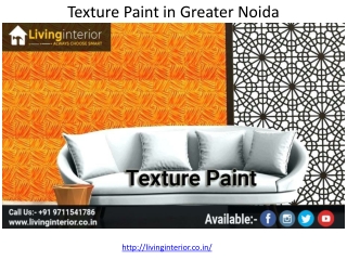 Texture Paint in Greater Noida