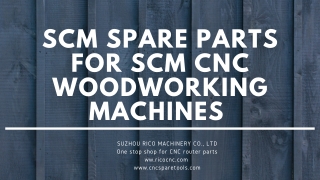 SCM pare parts for SCM woodworking machinery