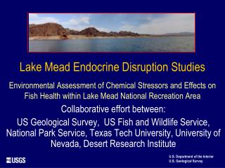 Lake Mead Endocrine Disruption Studies Environmental Assessment of Chemical Stressors and Effects on Fish Health within