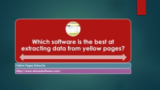 Which software is the best at extracting data from yellow pages?
