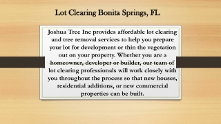 Lot Clearing Bonita Springs, FL