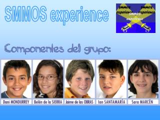 SMMOS experience