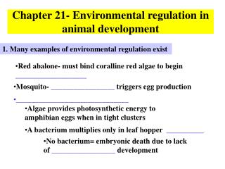 Chapter 21- Environmental regulation in animal development