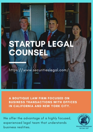 Startup Legal Counsel
