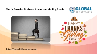 South America Business Executives Mailing Leads