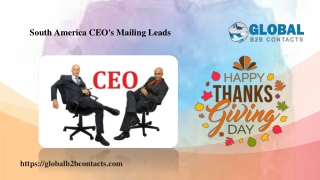 South America CEO's Mailing Leads