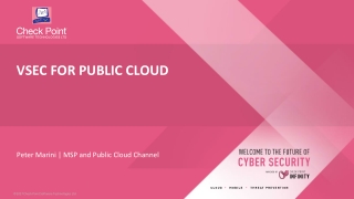 Peter Marini | MSP and Public Cloud Channel