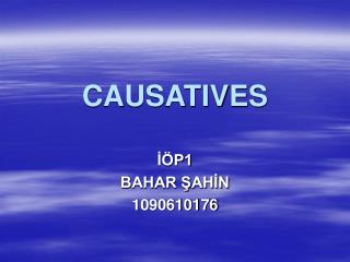 CAUSATIVES