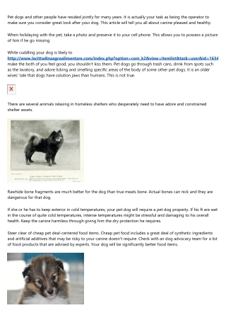 Excellent Write-up With Lots Of Superb Advice About Pet dogs