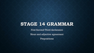 Stage 14 Grammar