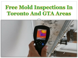 Free Mold Inspections In Toronto And GTA Areas