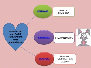 Penggolongan Hewan Berdasarkan Jenis Makanannya