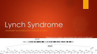 Lynch Syndrome