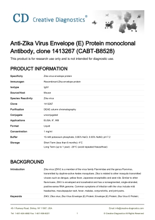 anti zika virus antibody