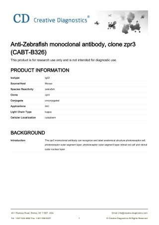 zebrafish antibodies