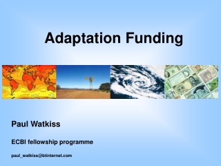Paul Watkiss ECBI fellowship programme paul_watkiss@btinternet