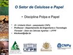 O Setor de Celulose e Papel