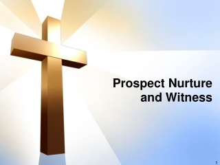 Prospect Nurture and Witness