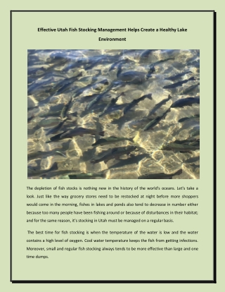 Effective Utah Fish Stocking Management Helps Create a Healthy Lake Environment