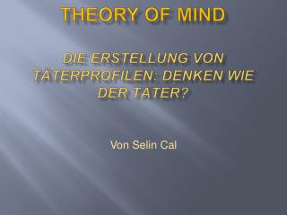 Theory of mind Die erstellung von täterprofilen : denken wie der täter ?