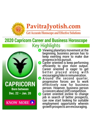2020 Capricorn Career and Business Horoscope